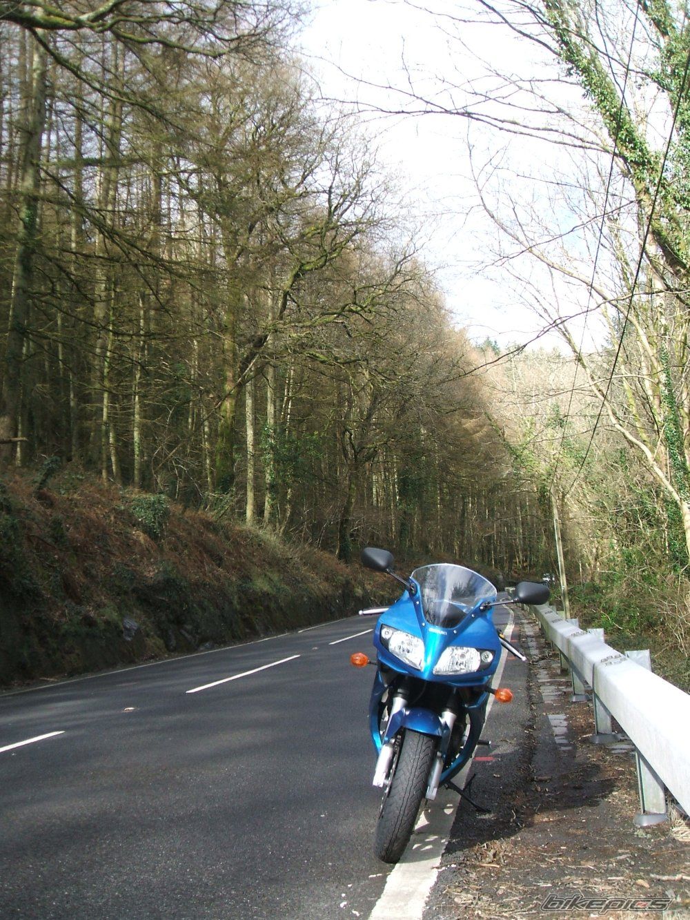 2007 SUZUKI SV 650S | Picture 1210769 motorcycle photo