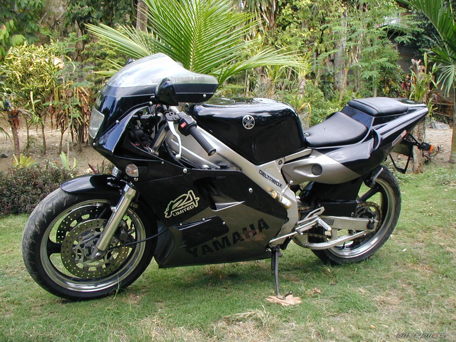 1991 YAMAHA TZR 250 | Picture 1210932 motorcycle photo