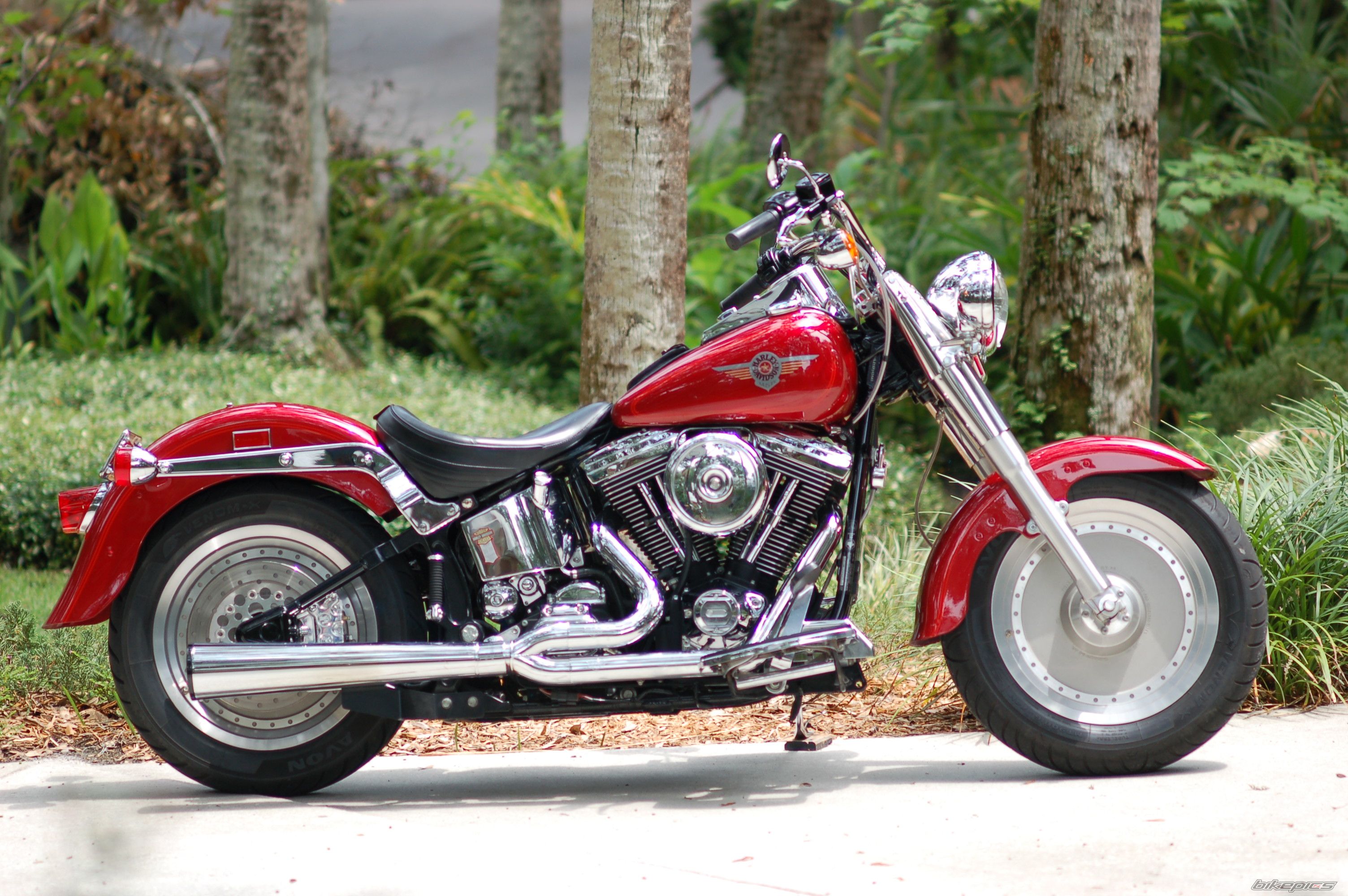 1999 HARLEY DAVIDSON FLSTF | Picture 1211003 motorcycle photo