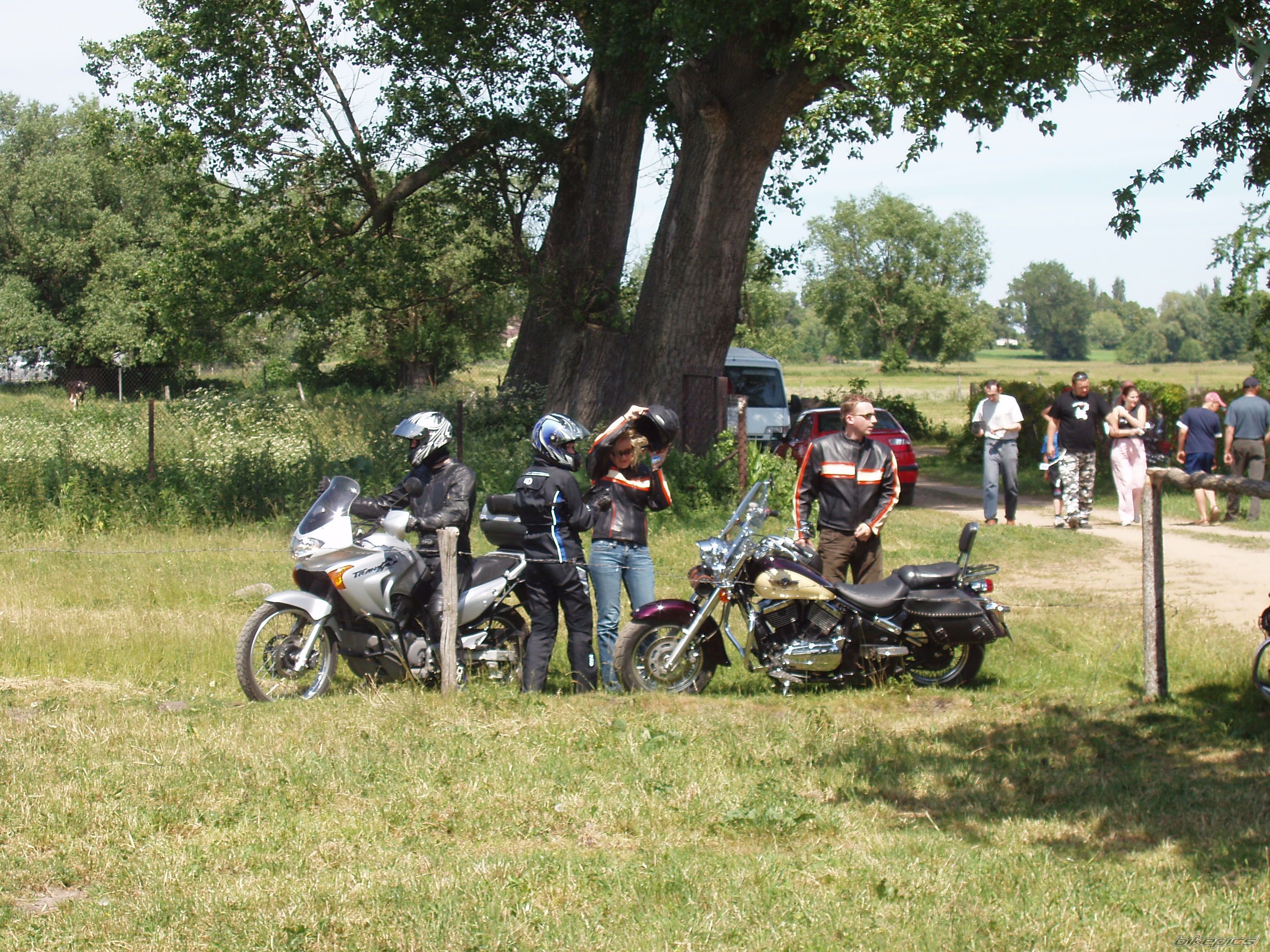 2001 HONDA XL 650V TRANSALP | Picture 1211246 motorcycle photo