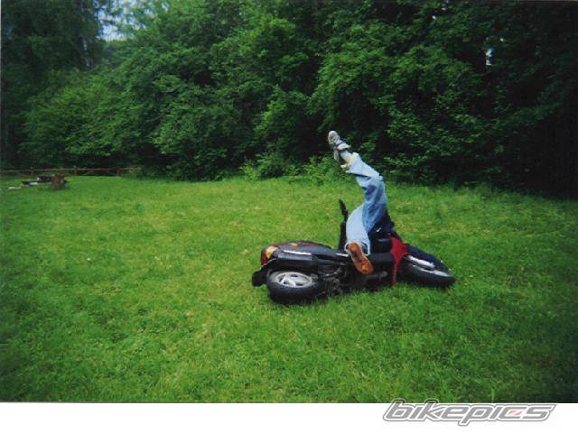 2001 PIAGGIO ZIP | Picture 12115 motorcycle photo