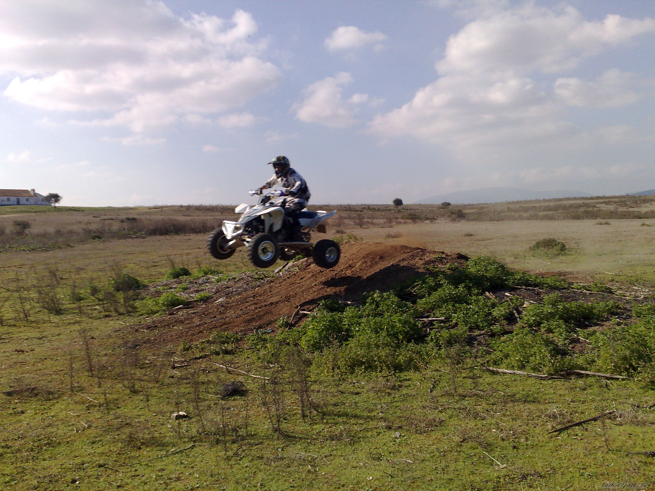 2008 SUZUKI LTR 450 | Picture 1211519 motorcycle photo