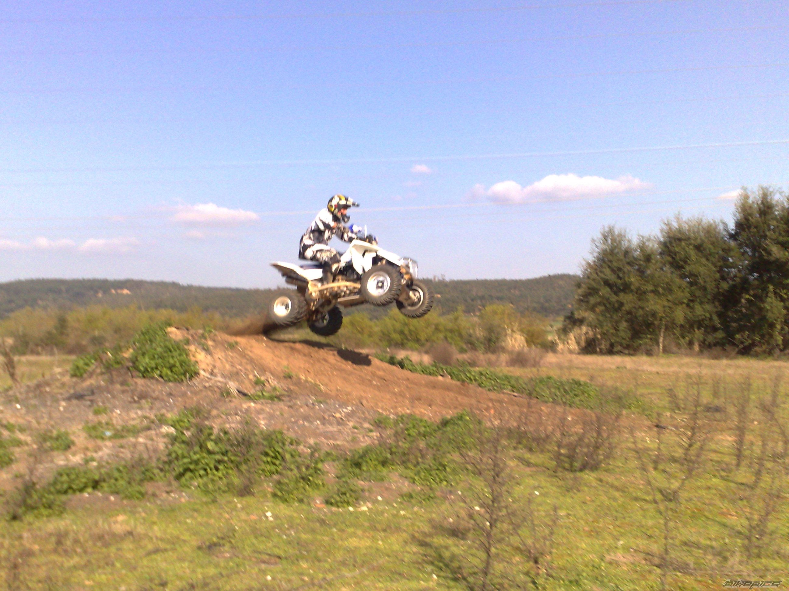 2008 SUZUKI LTR 450 | Picture 1211521 motorcycle photo