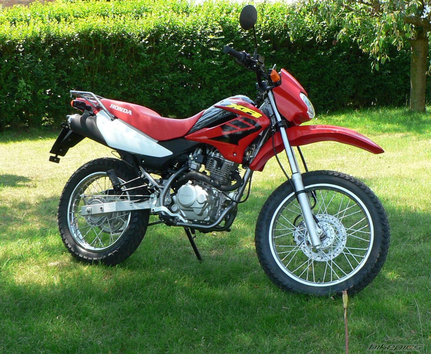 2007 HONDA XR 125 | Picture 1211531 motorcycle photo