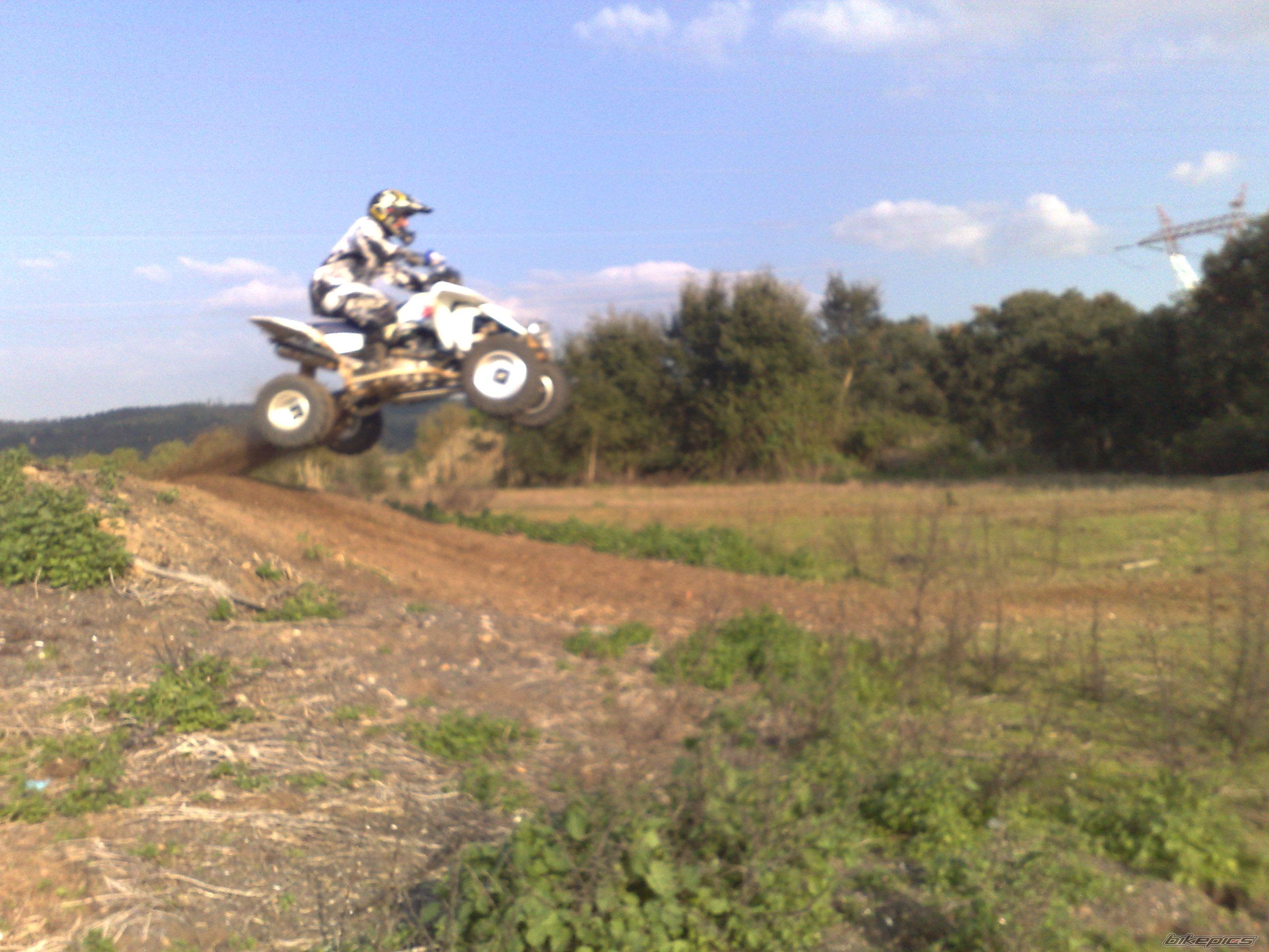 2008 SUZUKI LTR 450 | Picture 1211533 motorcycle photo