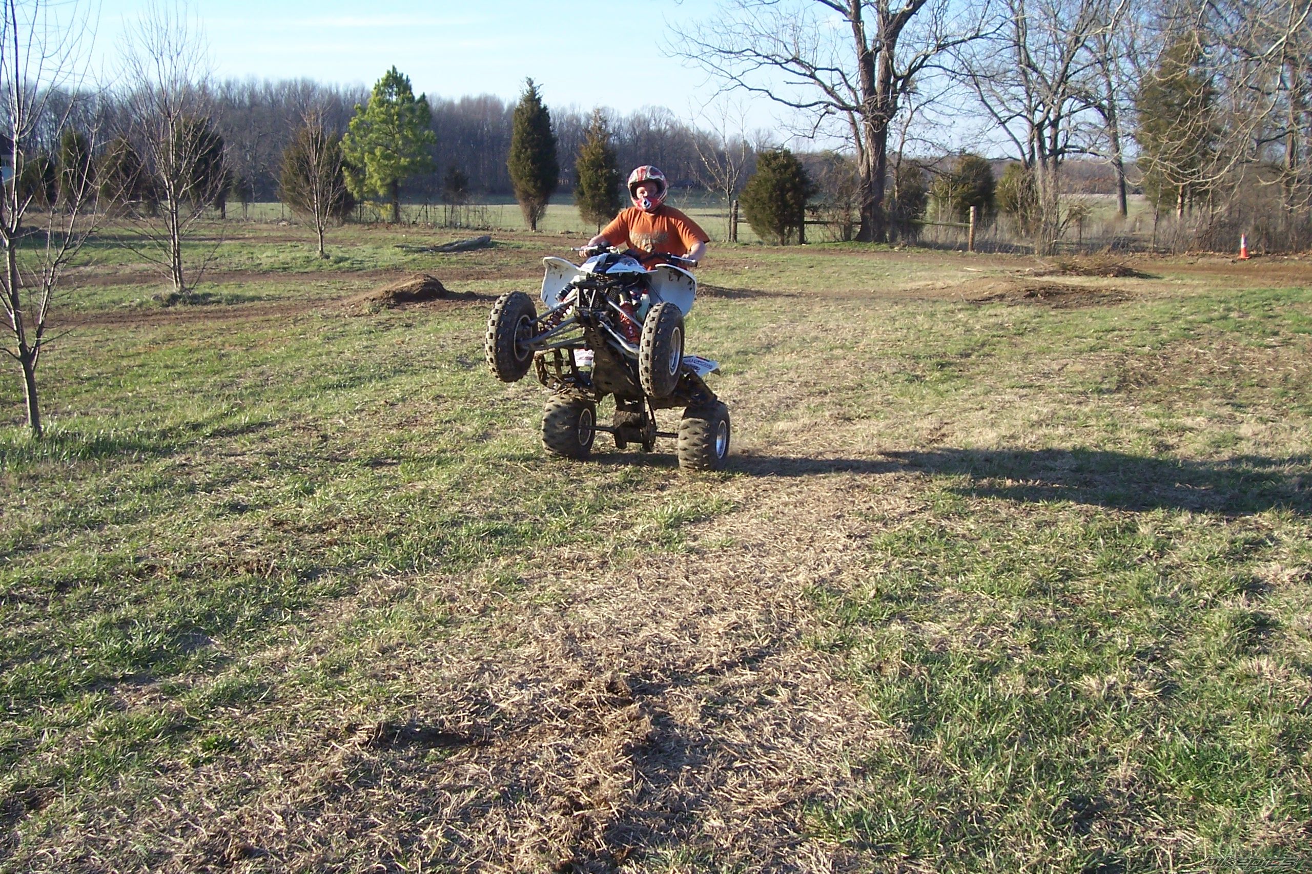 2005 POLARIS PREDATOR 500 | Picture 1211758 motorcycle photo