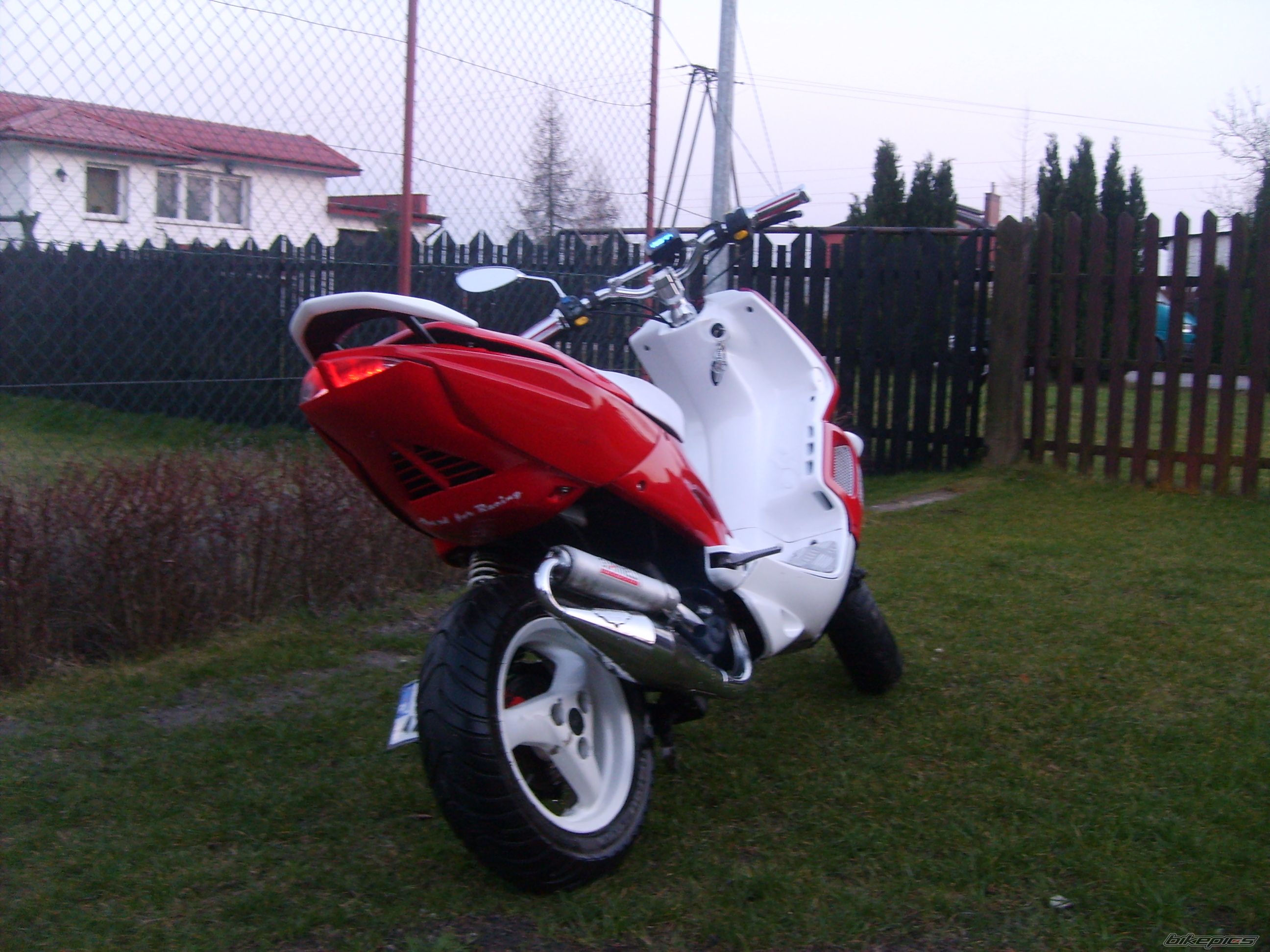 2006 PEUGEOT SPEEDFIGHT2 50 | Picture 1211809 motorcycle photo