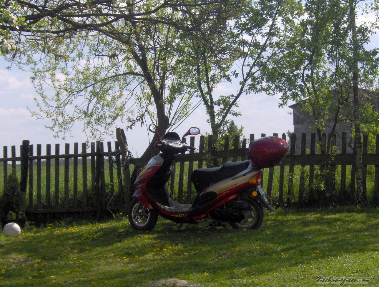 2007 ZID 50 AKTIV | Picture 1211996 motorcycle photo