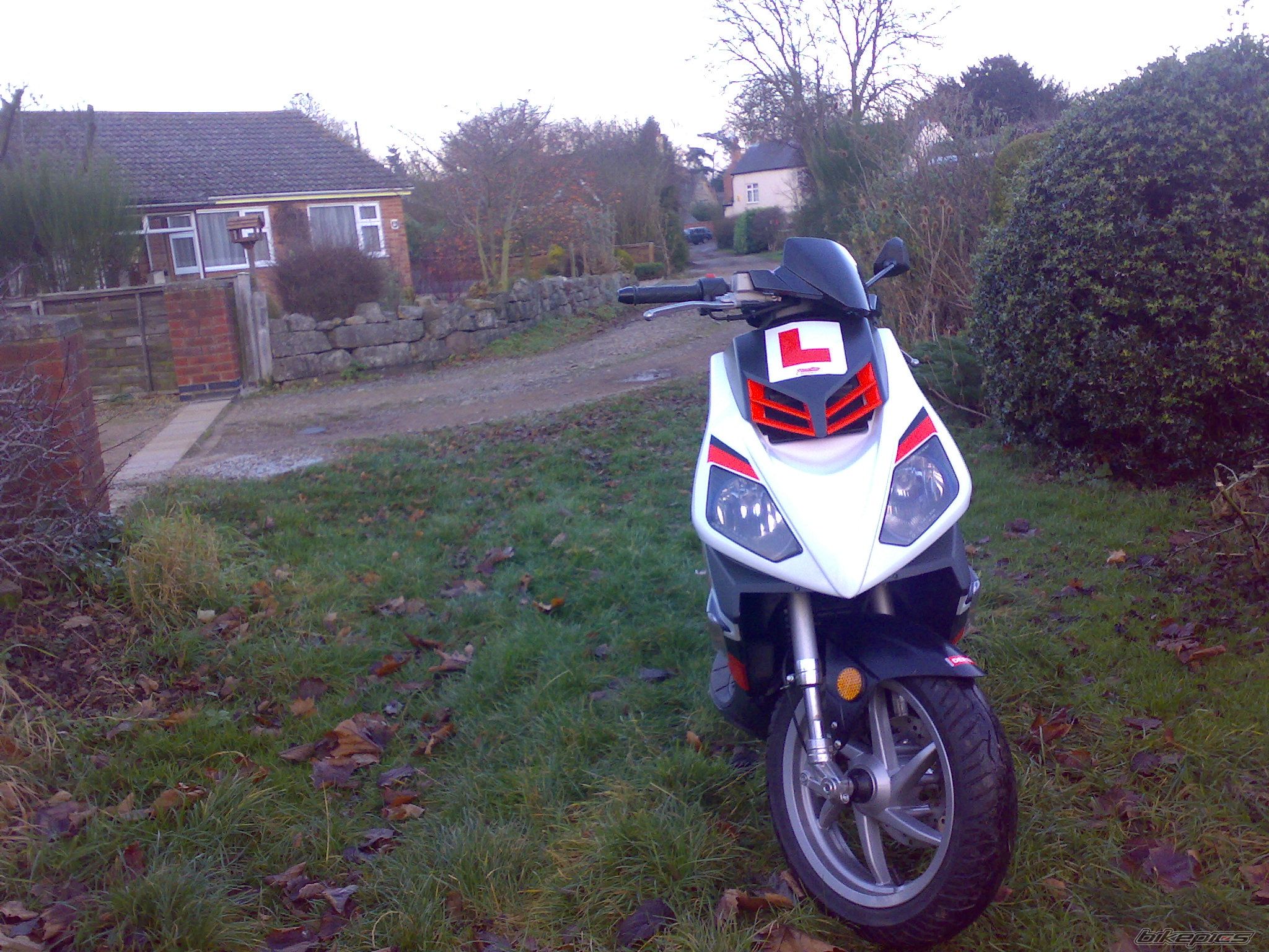 2008 DERBI GP1 | Picture 1212238 motorcycle photo