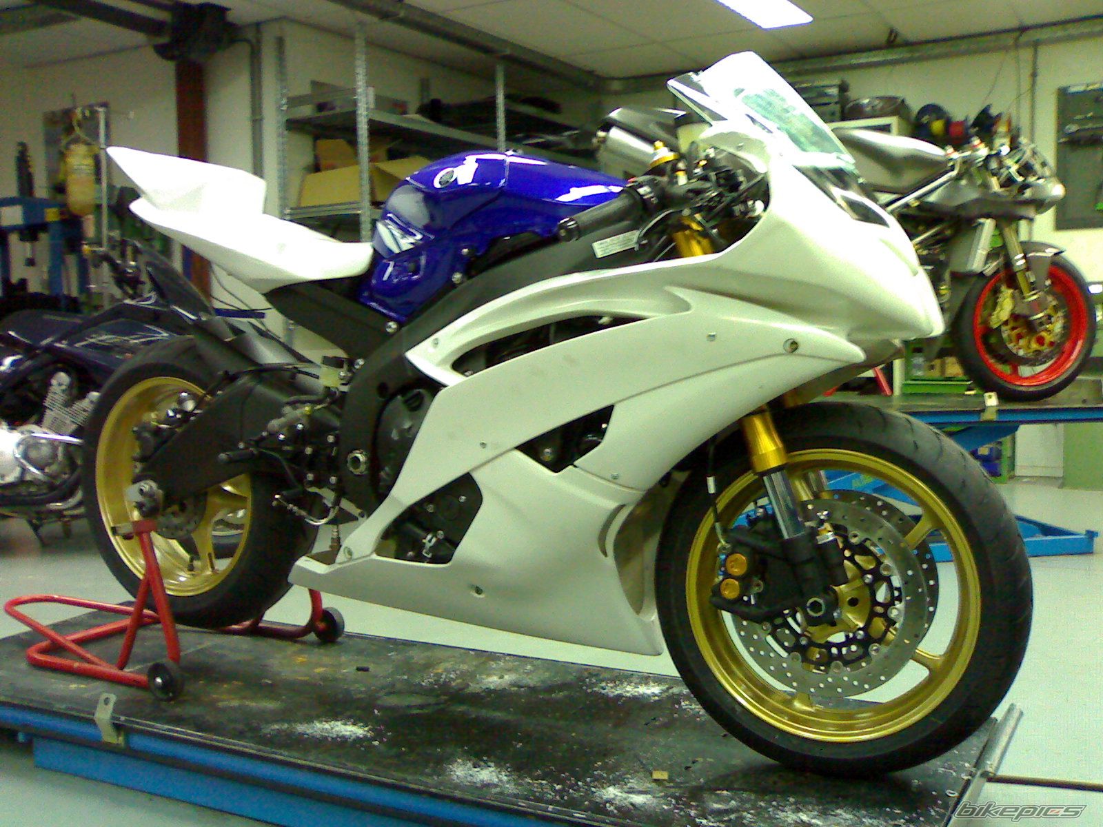 2008 YAMAHA YZF R6 | Picture 1212477 motorcycle photo