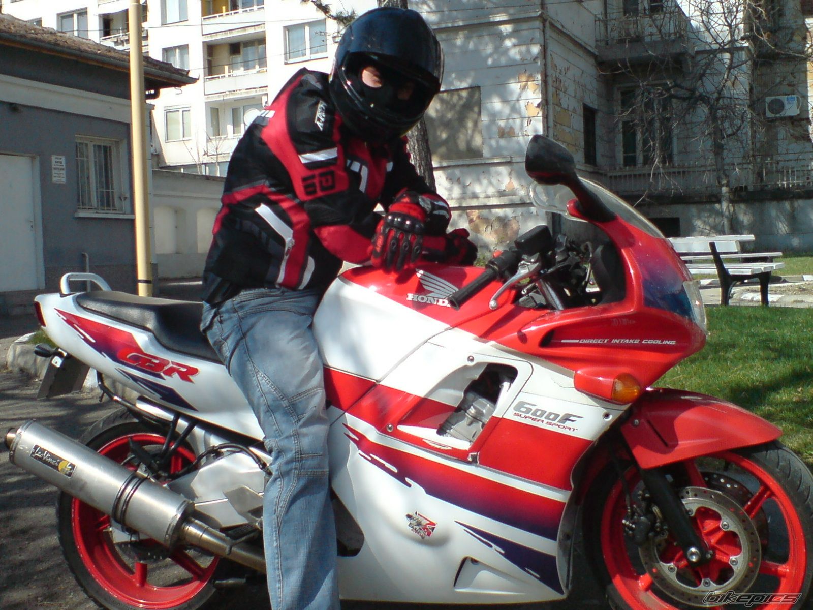 1993 HONDA CBR 600 | Picture 1212988 motorcycle photo