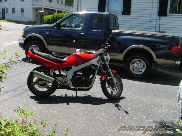 1994 SUZUKI GS 500 | Picture 1213004 motorcycle photo