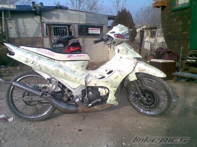 2008 YAMAHA 125 Z | Picture 1213247 motorcycle photo