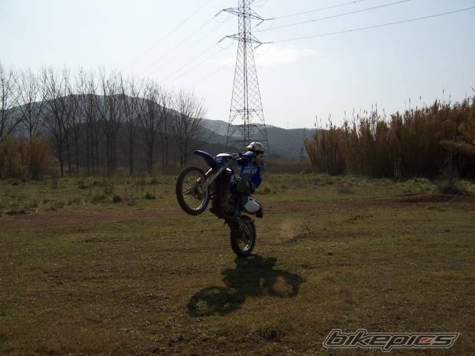 2003 YAMAHA TTR 250 | Picture 121353 motorcycle photo