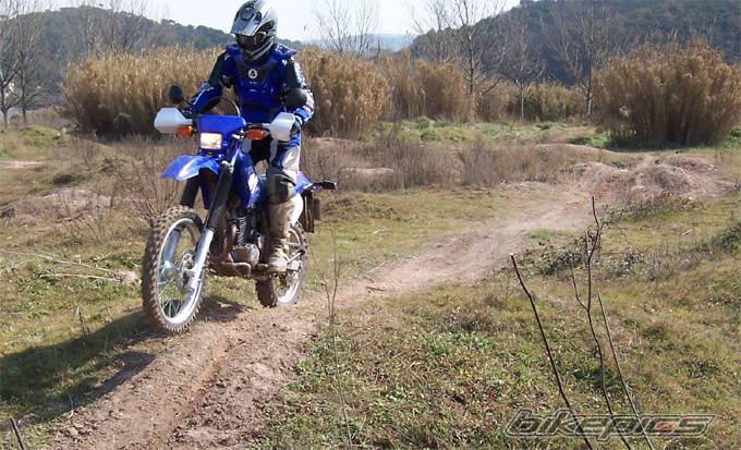 2003 YAMAHA TTR 250 | Picture 121360 motorcycle photo