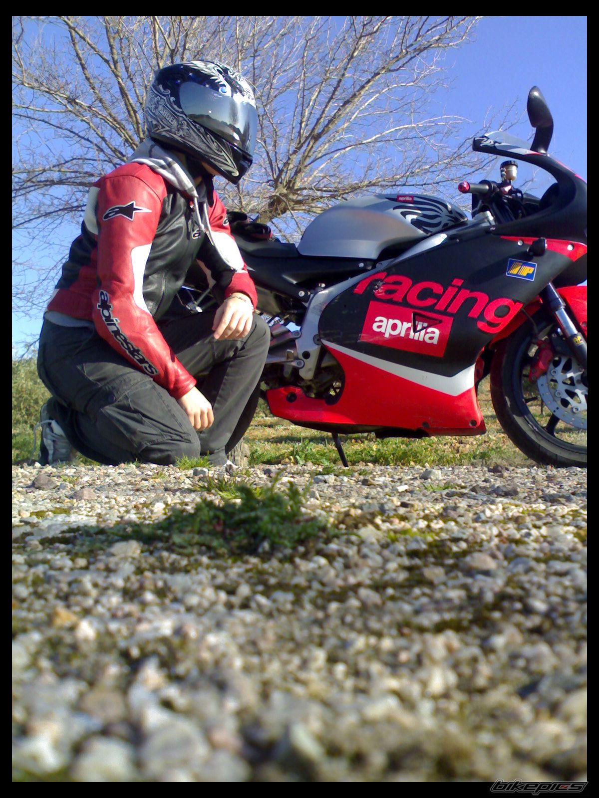 2002 APRILIA RS 125 | Picture 1213860 motorcycle photo
