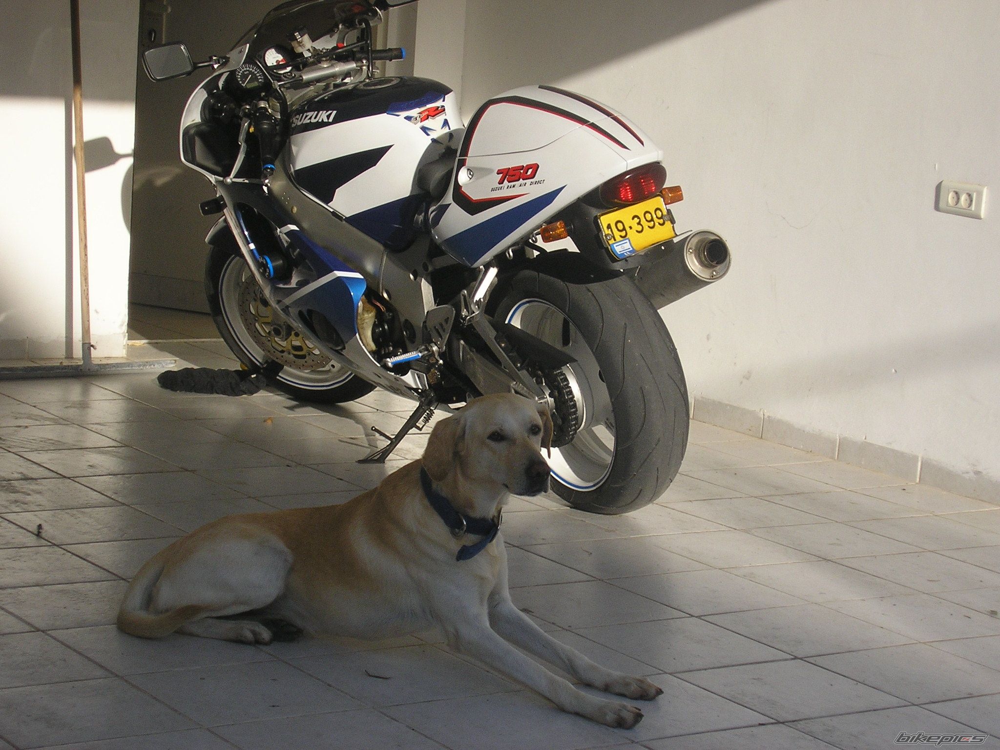 1997 SUZUKI GSX R 750 | Picture 1213897 motorcycle photo