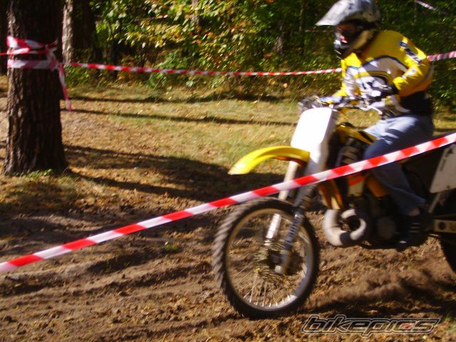 1998 SUZUKI RM 250 | Picture 1213962 motorcycle photo