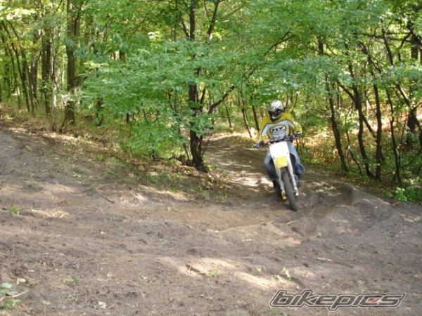 1998 SUZUKI RM 250 | Picture 1213967 motorcycle photo