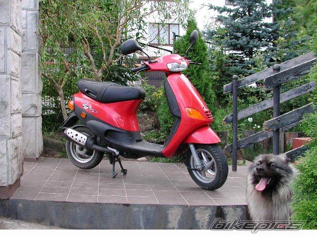 2001 PIAGGIO ZIP | Picture 12141 motorcycle photo