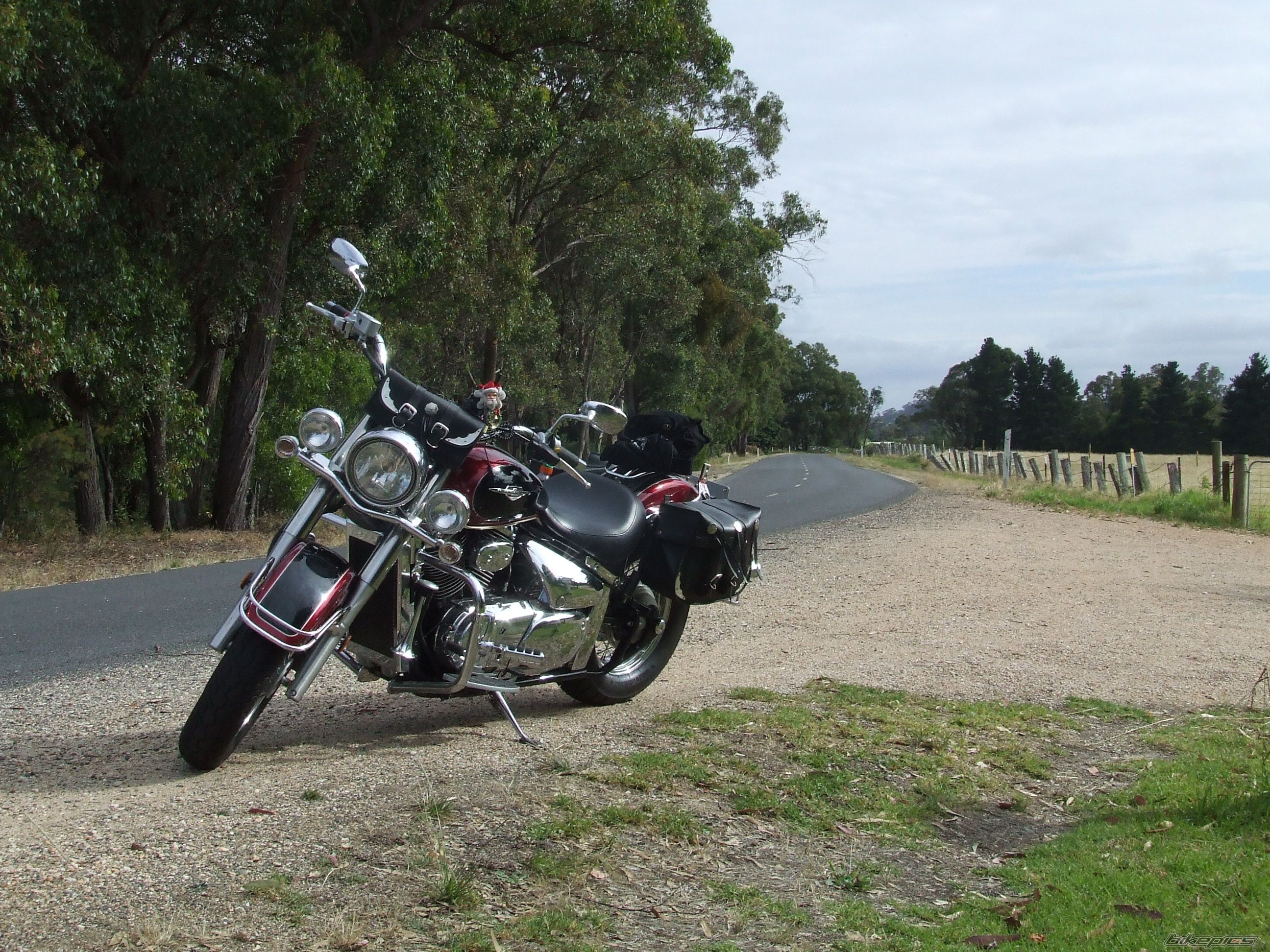 2007 SUZUKI BOULEVARD C50 | Picture 1214346 motorcycle photo