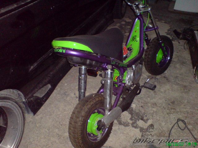 2008 YAMAHA LB 50 CHAPPY | Picture 1214565 motorcycle photo