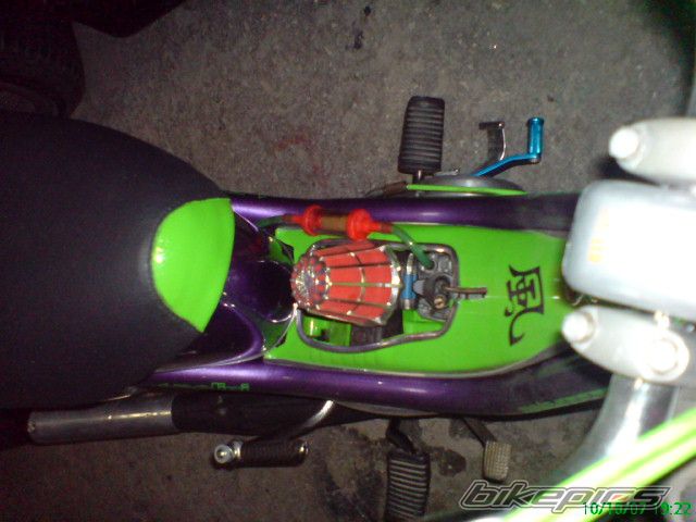 2008 YAMAHA LB 50 CHAPPY | Picture 1214582 motorcycle photo