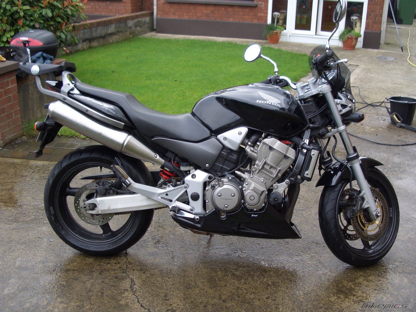 2003 HONDA CB 900 | Picture 1214719 motorcycle photo