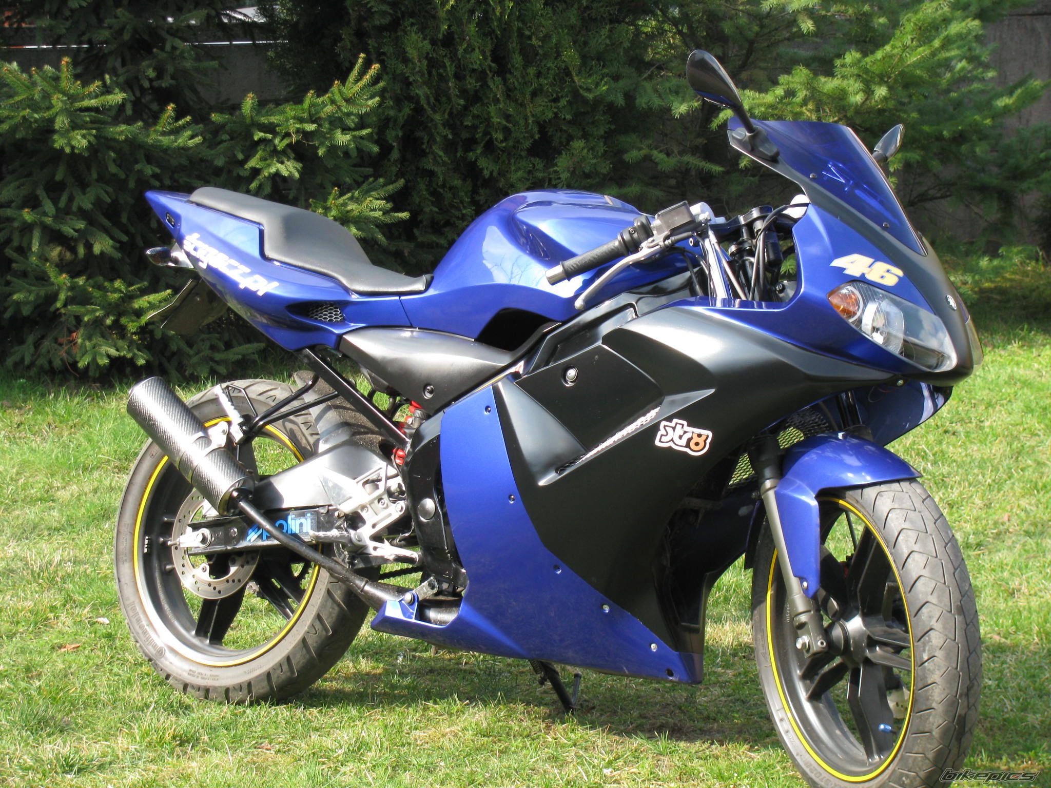 2004 YAMAHA TZR 50 | Picture 1214720 motorcycle photo