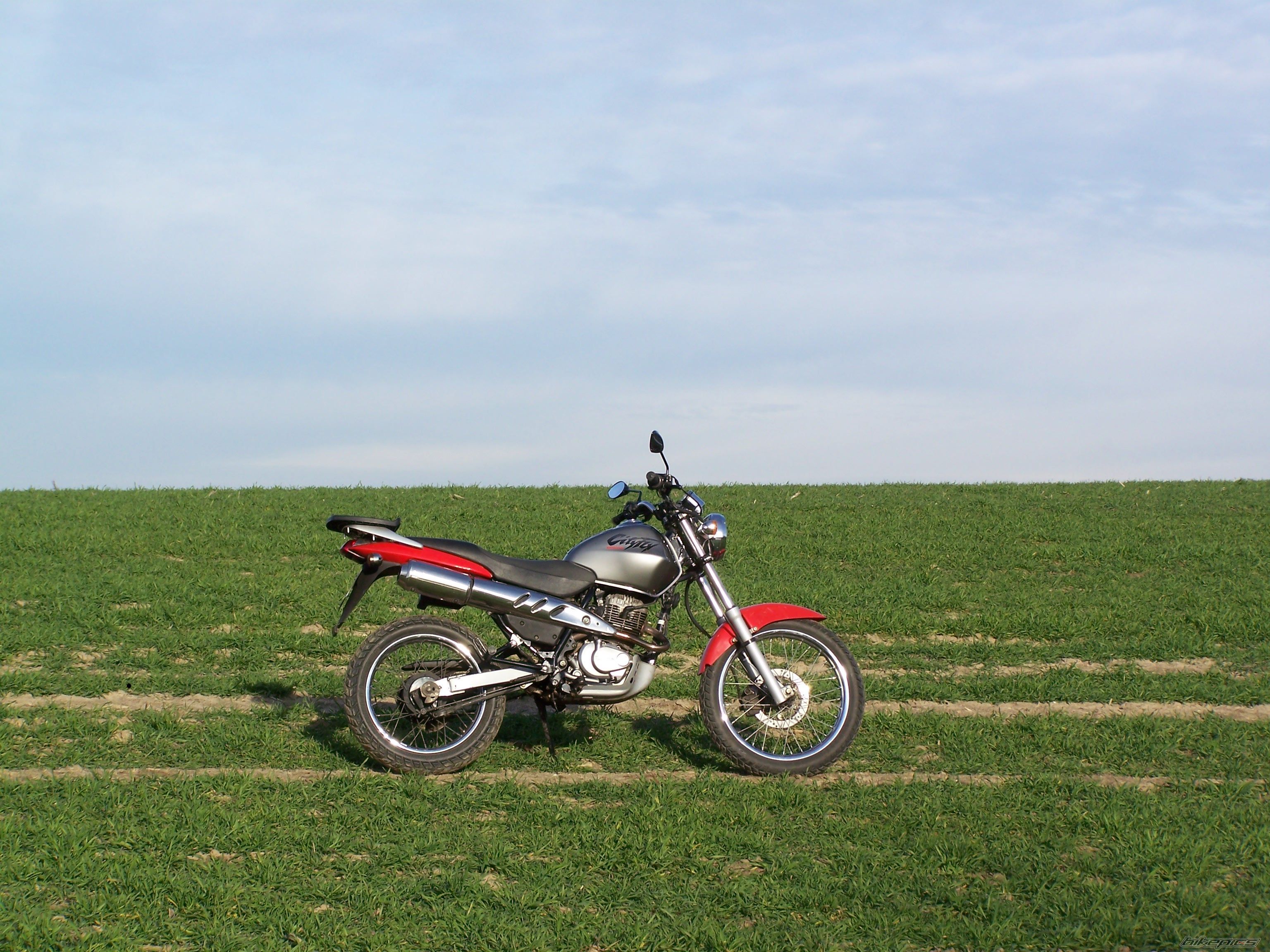 1998 HONDA CLR 125 | Picture 1214827 motorcycle photo