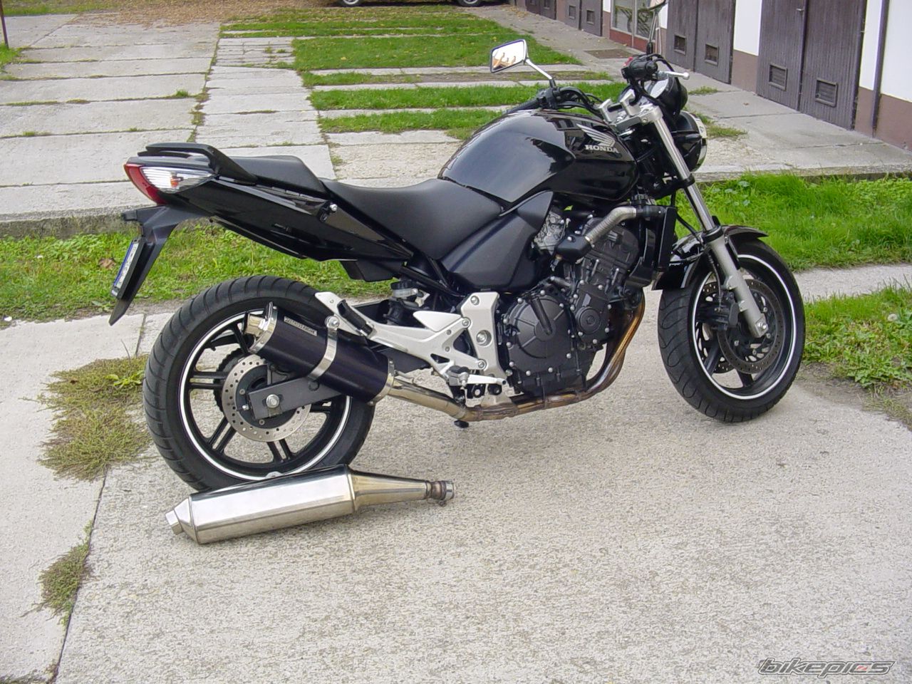 2005 HONDA CBF 600 | Picture 1215545 motorcycle photo
