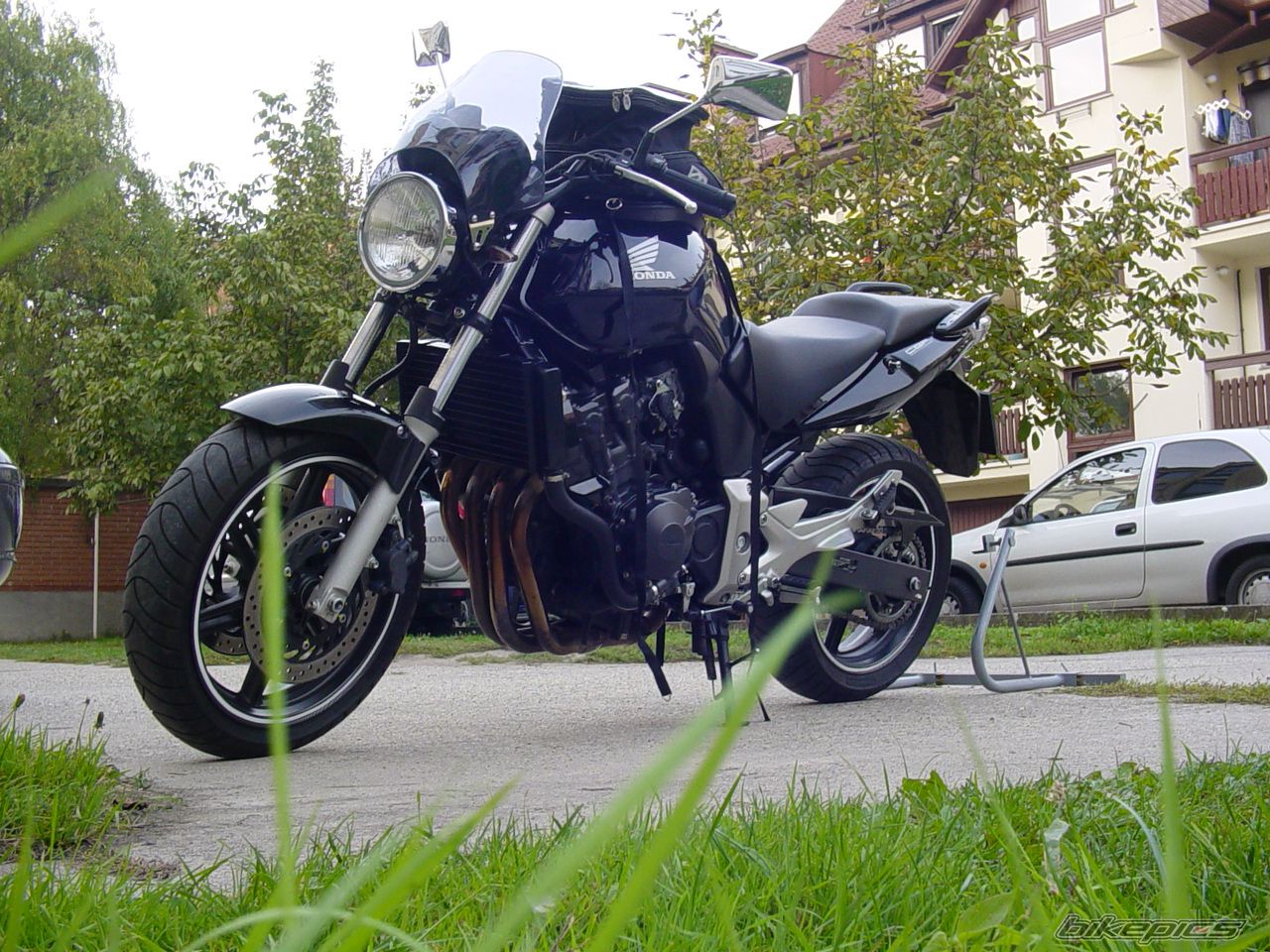 2005 HONDA CBF 600 | Picture 1215546 motorcycle photo