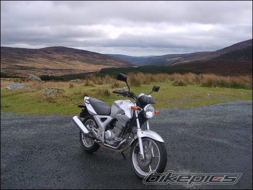 2006 HONDA CBF 250 | Picture 1215596 motorcycle photo