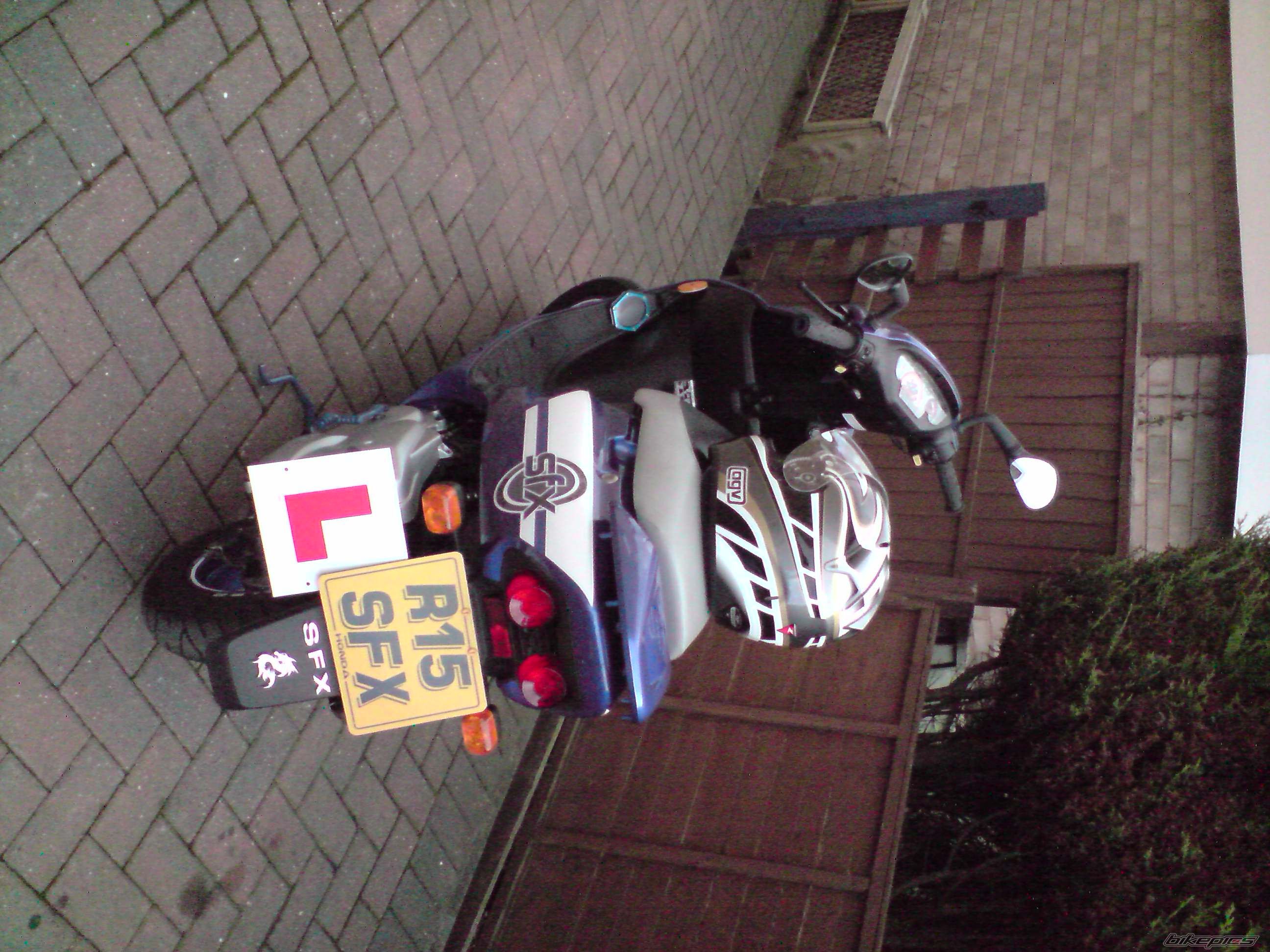 2000 HONDA SFX | Picture 1216200 motorcycle photo