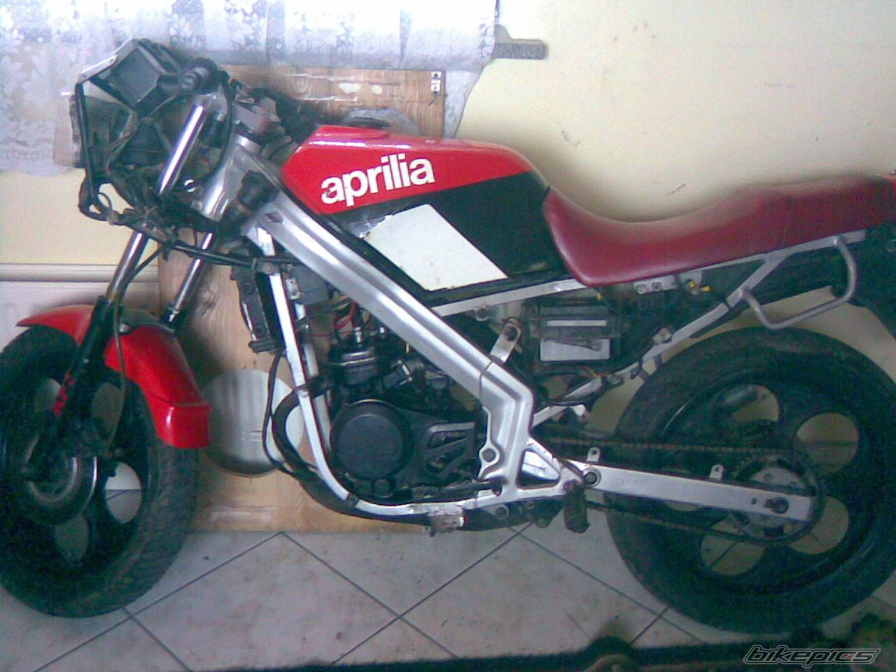 1987 APRILIA AF1 SINTESI 50 | Picture 1216478 motorcycle photo