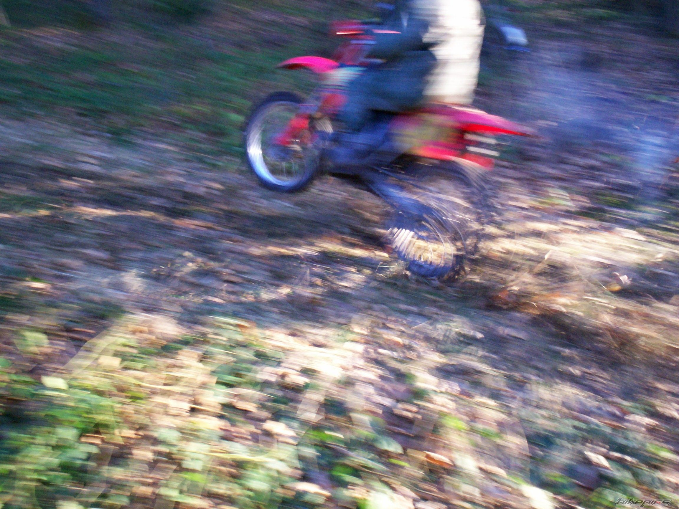 1995 HONDA CR 250 | Picture 1216961 motorcycle photo