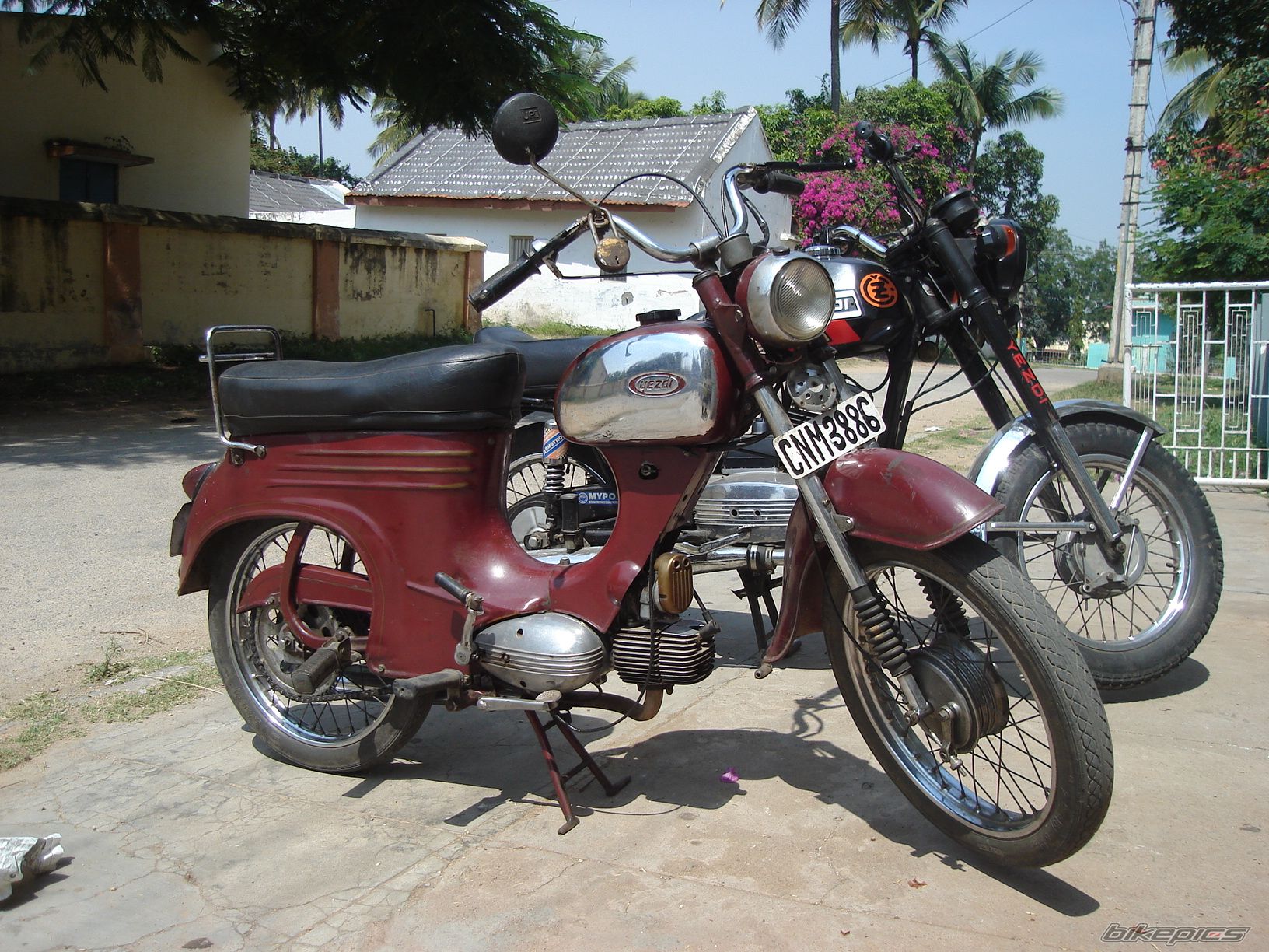 1981 JAWA 50 | Picture 1217522 motorcycle photo