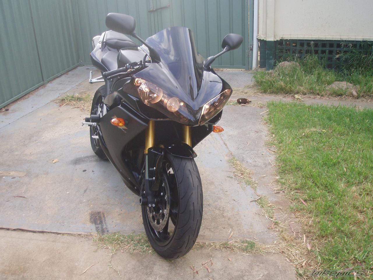 2008 YAMAHA YZF R1 | Picture 1217539 motorcycle photo