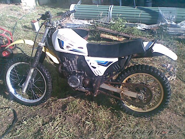 1983 SUZUKI DR 250 | Picture 1217735 motorcycle photo