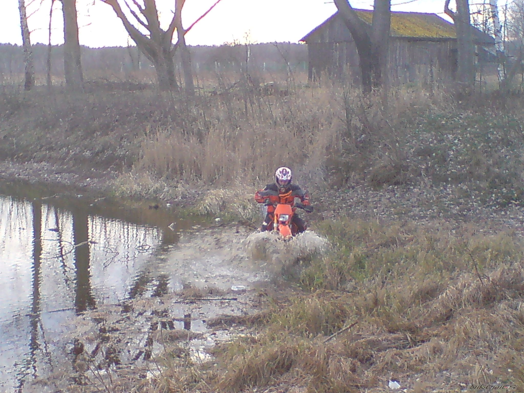 2002 KTM 125 EXC | Picture 1217755 motorcycle photo
