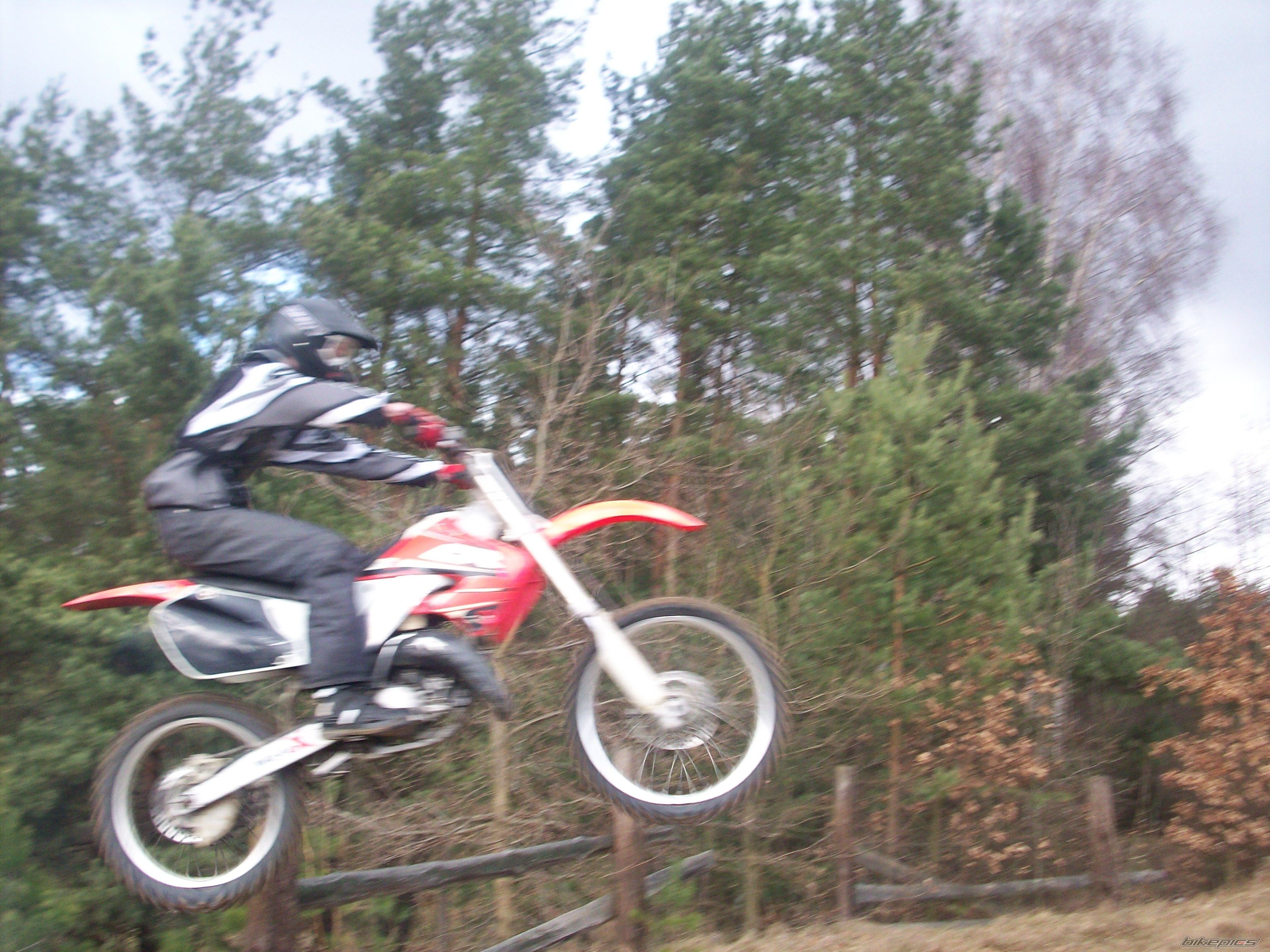 1999 HONDA CR 125 | Picture 1217756 motorcycle photo