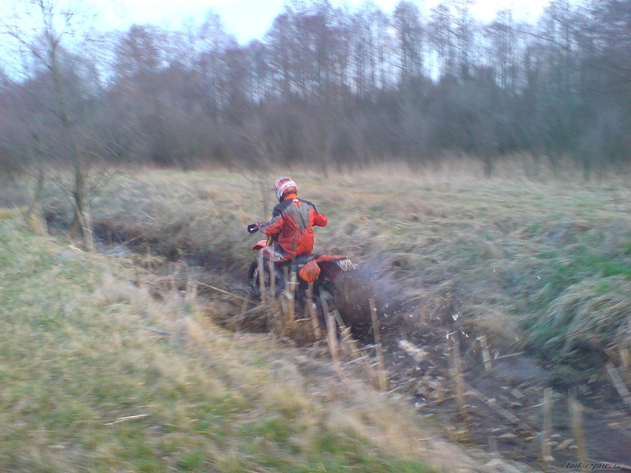 2002 KTM 125 EXC | Picture 1217768 motorcycle photo