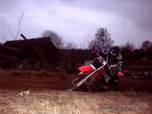 1999 HONDA CR 125 | Picture 1217774 motorcycle photo