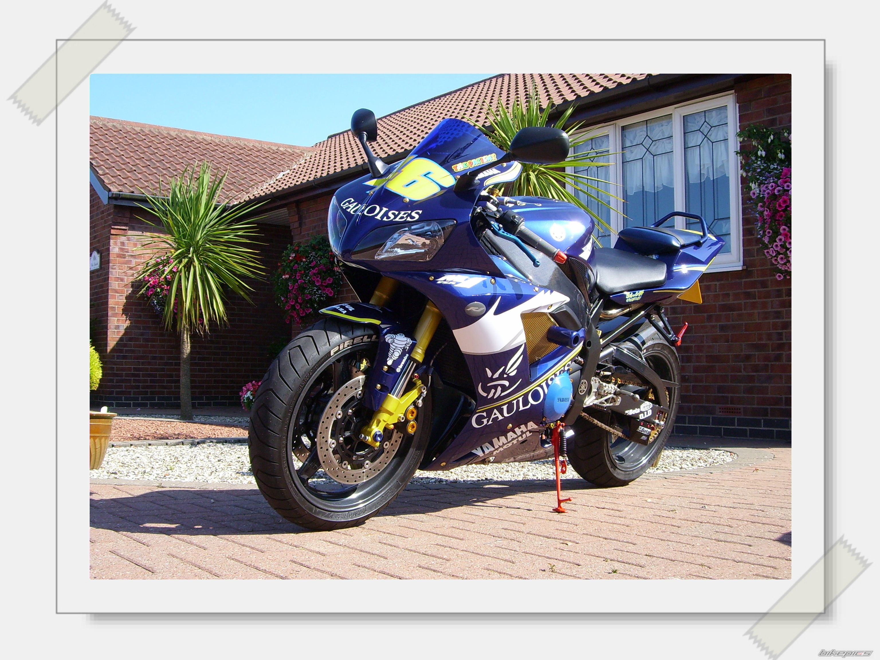 2002 YAMAHA YZF R1 | Picture 1218097 motorcycle photo