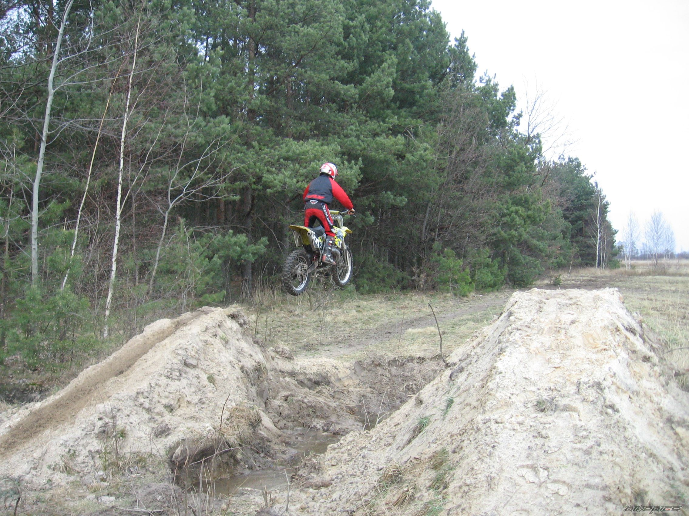 2003 SUZUKI RM 250 | Picture 1218426 motorcycle photo