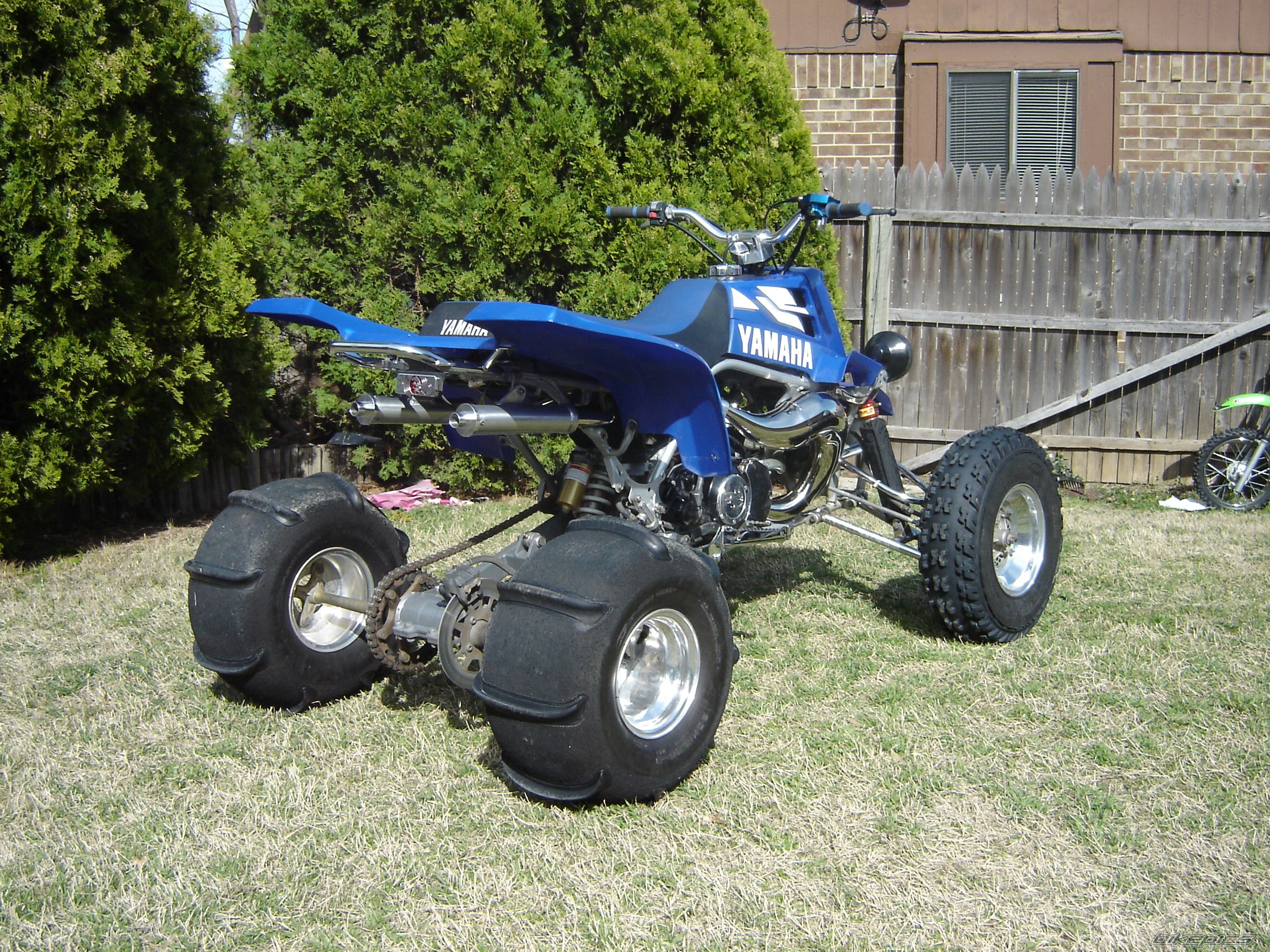 2000 YAMAHA BANSHEE | Picture 1218517 motorcycle photo