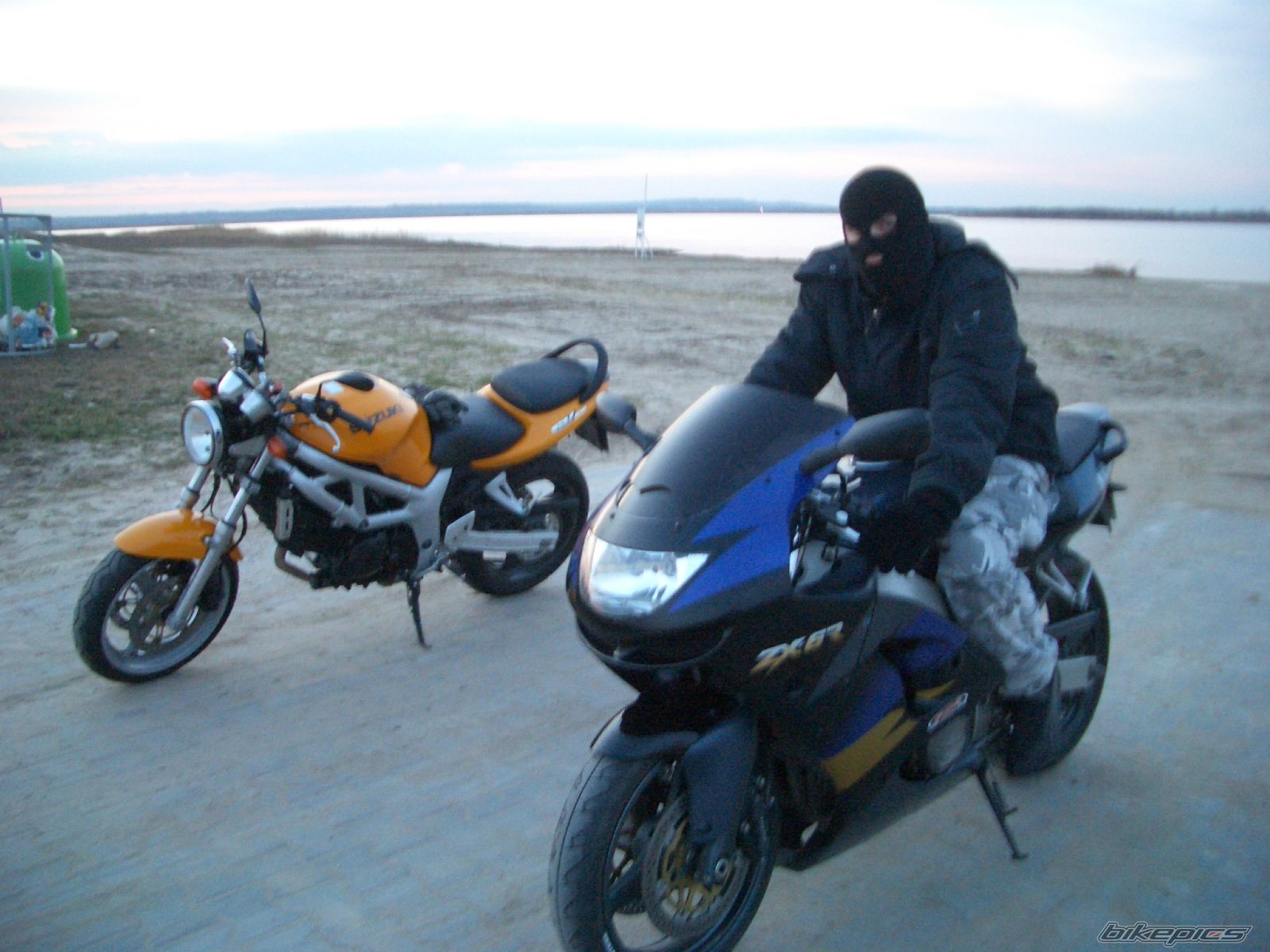 2001 SUZUKI SV 650 | Picture 1218662 motorcycle photo