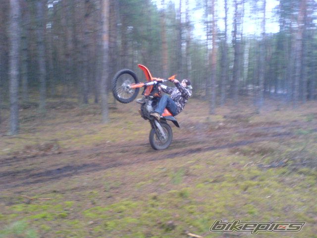    | Picture 1218788 motorcycle photo