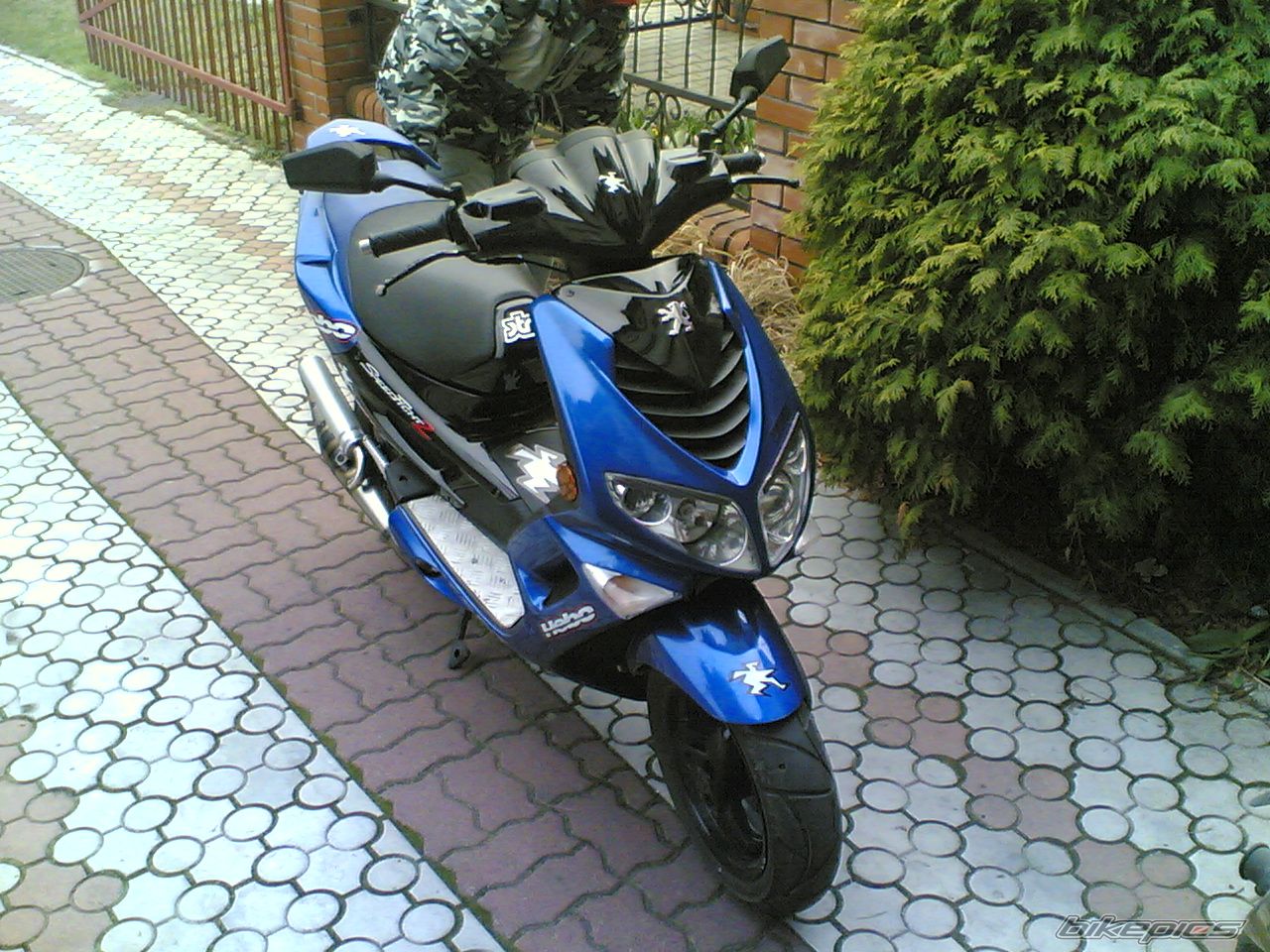 2004 PEUGEOT SPEEDFIGHT2 50 | Picture 1218908 motorcycle photo