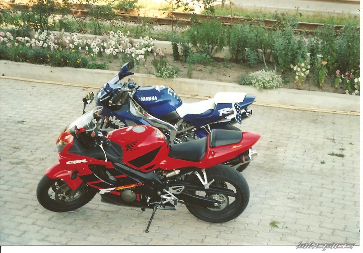 1998 YAMAHA YZF R1 | Picture 1219187 motorcycle photo